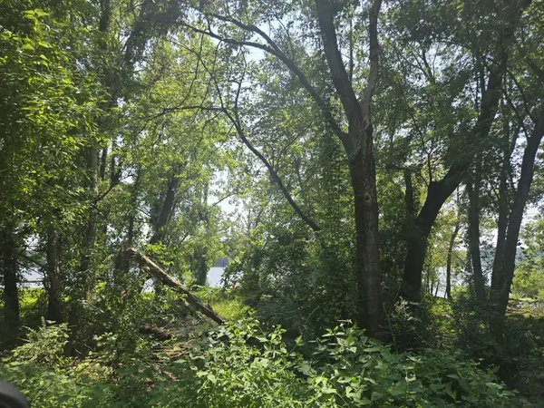 480 Bluff Point Ridge Rd, Waverly, TN 37185