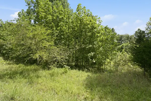 0 Trailwood Court, Joelton, TN 37080