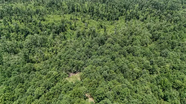 0 Keazy Hollow Rd, Waynesboro, TN 38485