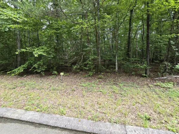 136 Lower Brow Road, Dunlap, TN 37327