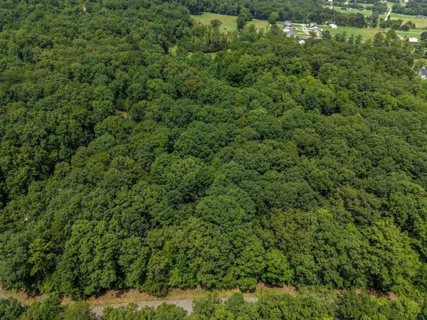138 Lower Brow Road, Dunlap, TN 37327