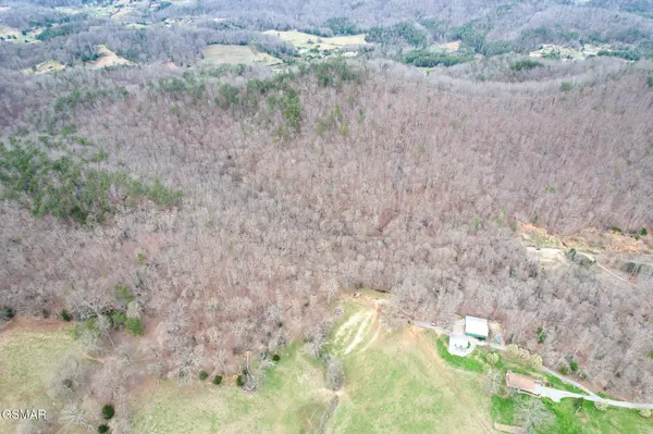 0 Tennessee 31, Mooresburg, TN 37811