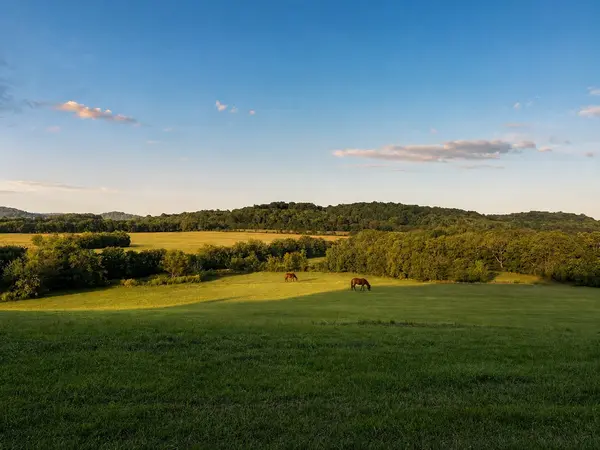 1914 Thompsons Station Rd #W, Thompsons Station, TN 37179