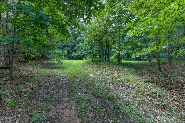 0 Eagle Cliff Rd, Monteagle, TN 37356