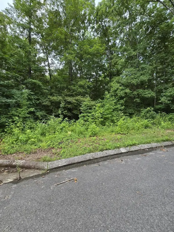 142 Lower Brow Road, Dunlap, TN 37327