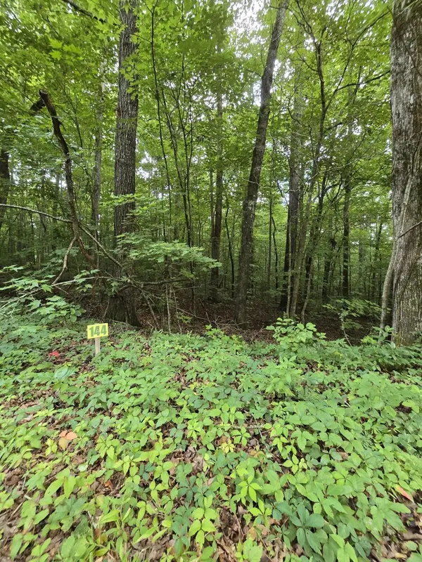 144 Lower Brow Road, Dunlap, TN 37327