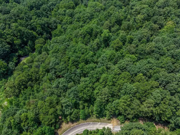 155 Lower Brow Road, Dunlap, TN 37327