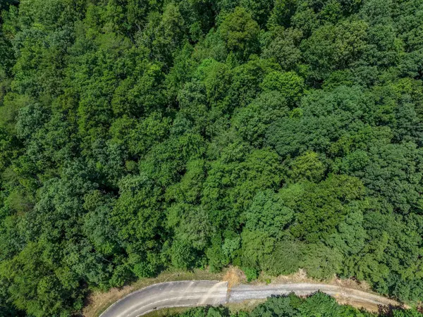 157 Lower Brow Road, Dunlap, TN 37327