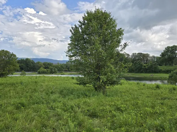 1 Spring Lake Drive, Dunlap, TN 37327
