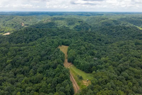 2342 Claylick Rd, Whites Creek, TN 37189