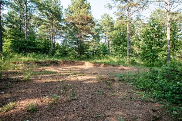 0 Browns Trace Rd, South Pittsburg, TN 37380