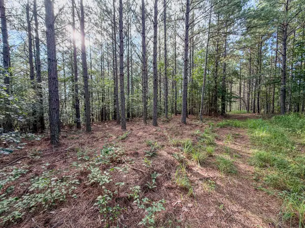 164 Center Ridge Dr, Hohenwald, TN 38462
