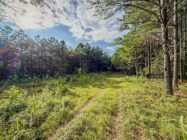 164 Center Ridge Dr, Hohenwald, TN 38462