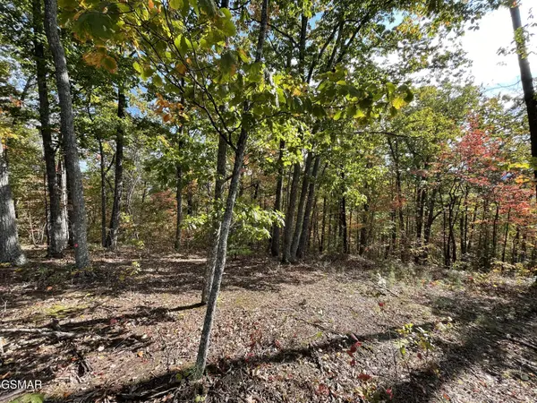 234 Sulpher Springs Way, Sevierville, TN 37862