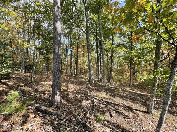 234 Sulpher Springs Way, Sevierville, TN 37862