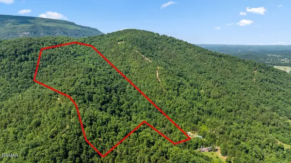 0 Boomer Way, Cosby, TN 37722