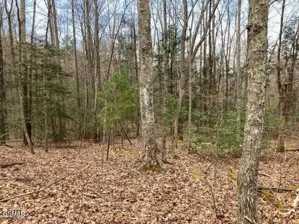 0 Dockery Branch Road, Sevierville, TN 37876