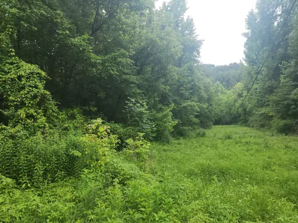 0 Rocky Flats Rd, Sevierville, TN 37876