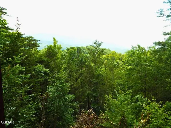 64 Vixen Run, Gatlinburg, TN 37738