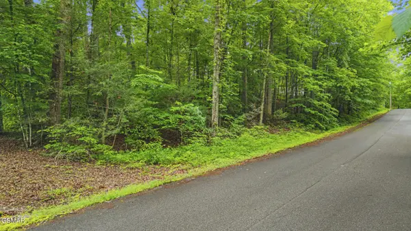 0 Peach Tree Street, Sevierville, TN 37862