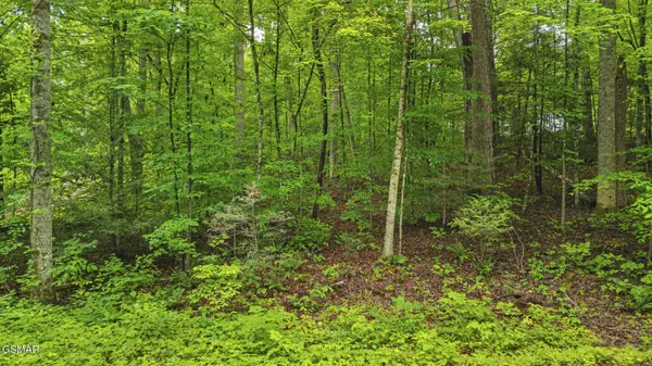 0 Peach Tree Street, Sevierville, TN 37862