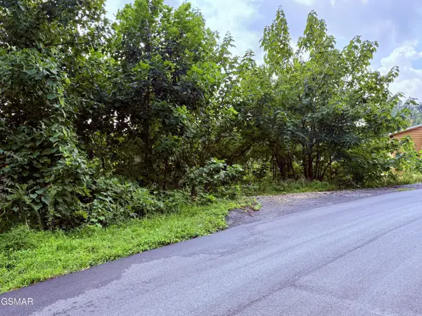 670 Pinecrest Drive, Gatlinburg, TN 37738