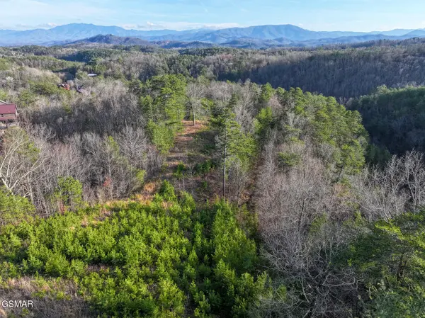 1440 Goose Gap Road, Sevierville, TN 37876