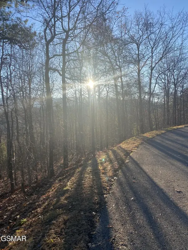 7 Lightning Bug Way, Gatlinburg, TN 37738