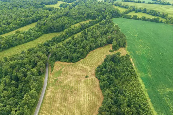 0 Lindsey Rd, Parsons, TN 38363