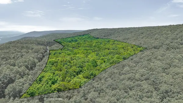 5973 Windridge Drive, Dunlap, TN 37327