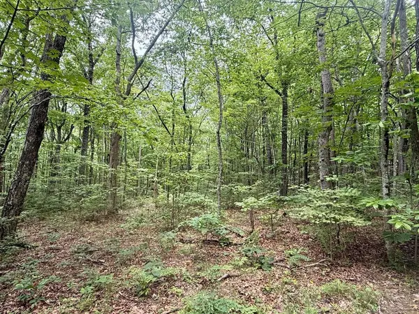 1869 Windridge Drive, Dunlap, TN 37327