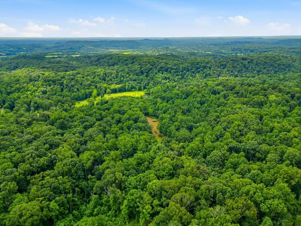 189 Bud Pvt Ln, Cottontown, TN 37048