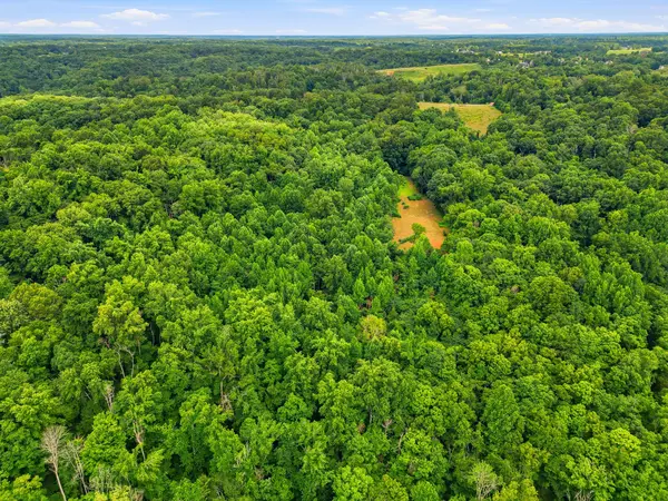 189 Bud Pvt Ln, Cottontown, TN 37048