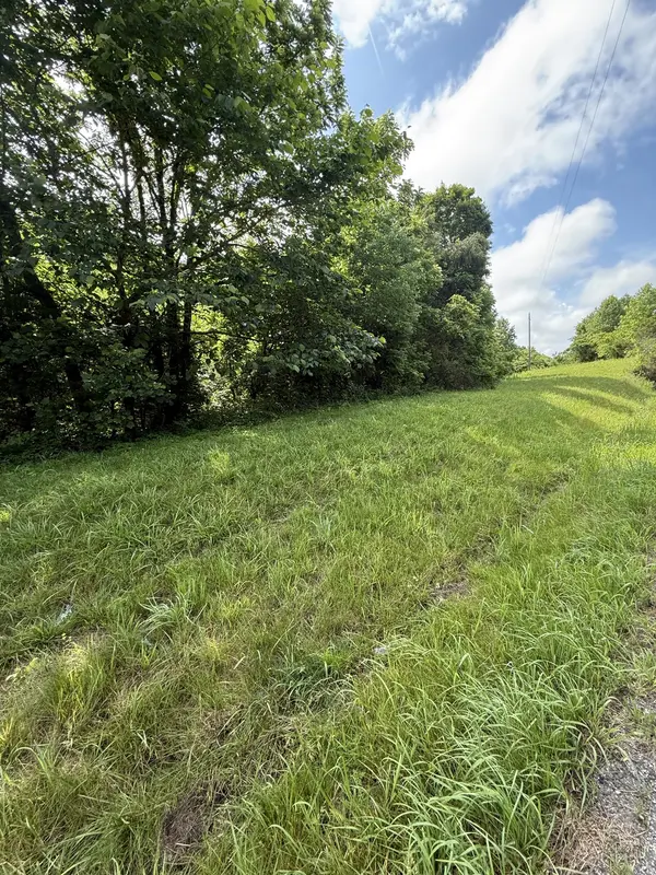 0 Highway 31 #E, Westmoreland, TN 37186