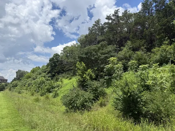 0 Liberty Pike, Franklin, TN 37067