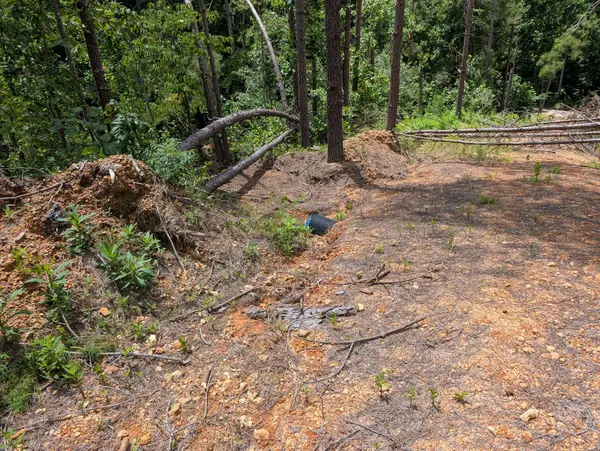 0 Old Penny Rd, Linden, TN 37096