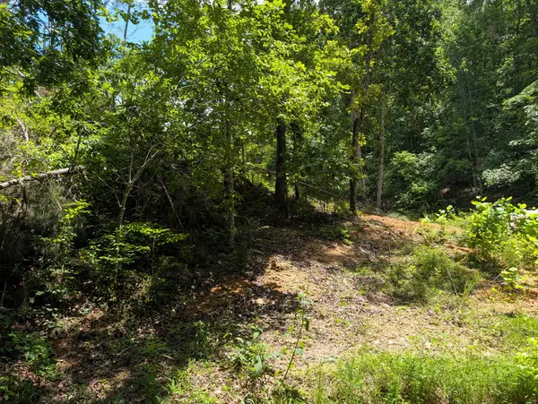 0 Old Penny Rd, Linden, TN 37096