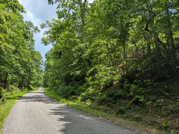 0 Old Penny Rd, Linden, TN 37096