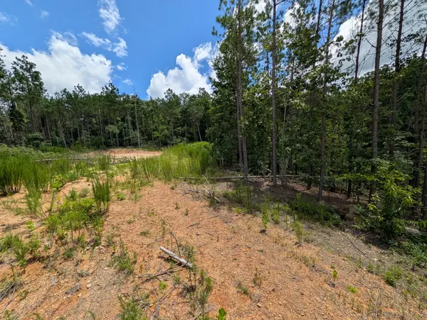 0 Old Penny Rd, Linden, TN 37096