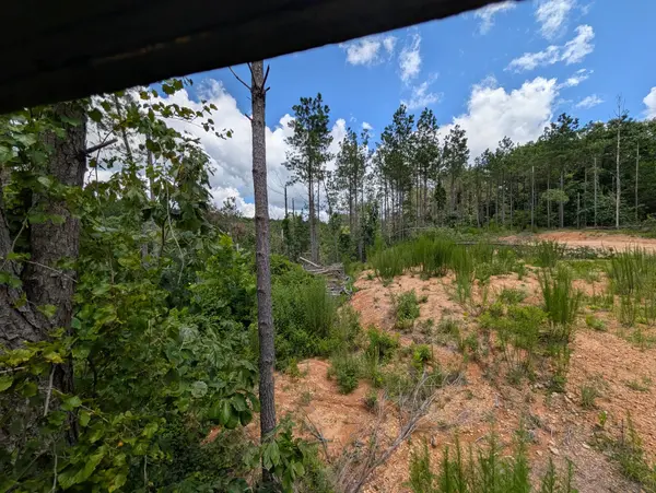 0 Old Penny Rd, Linden, TN 37096
