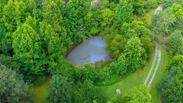 3612 Bill Jones Road, Apison, TN 37302