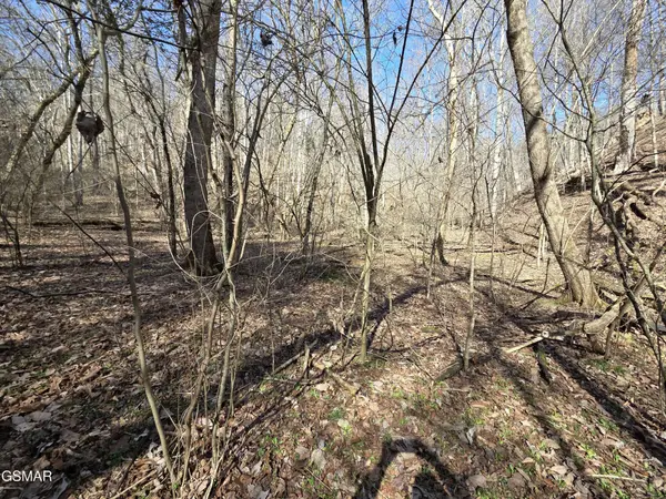 0 Baysinger Road, Newport, TN 37821