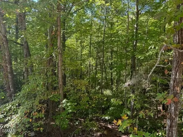 17 Deer Path Lane, Gatlinburg, TN 37738