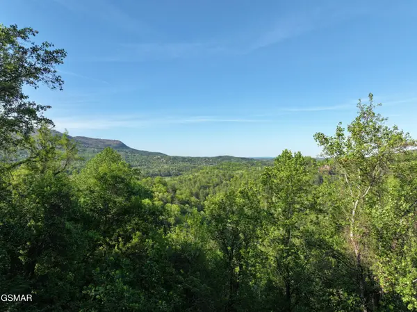 13 Dove View Road, Sevierville, TN 37862