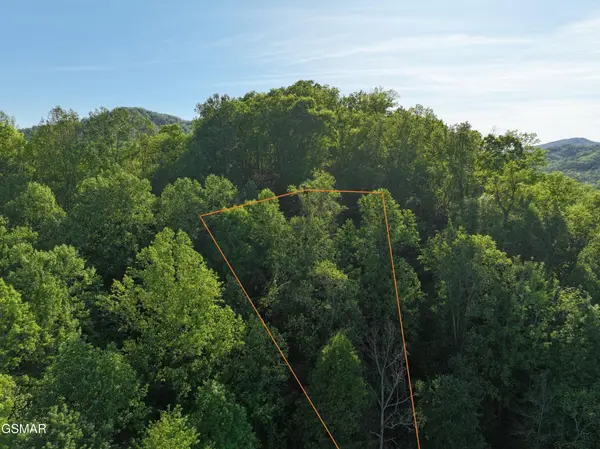 13 Dove View Road, Sevierville, TN 37862