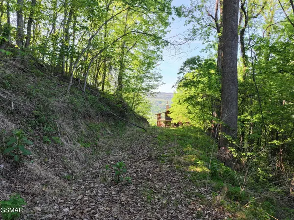 13 Dove View Road, Sevierville, TN 37862