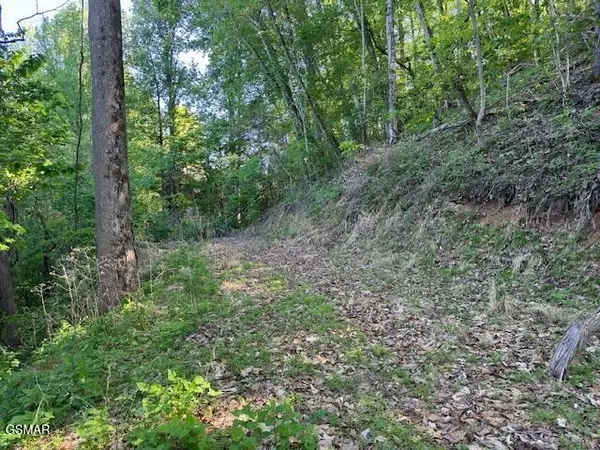 13 Dove View Road, Sevierville, TN 37862