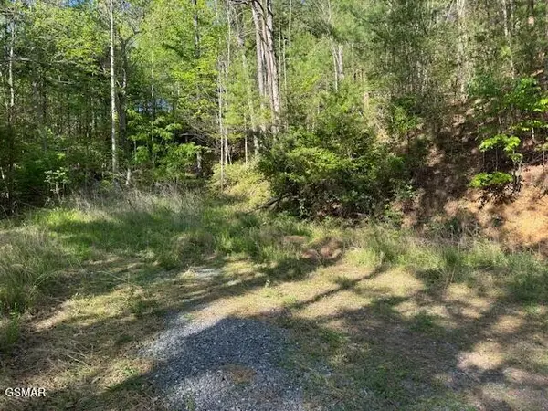 15 Sunset Road, Sevierville, TN 37862