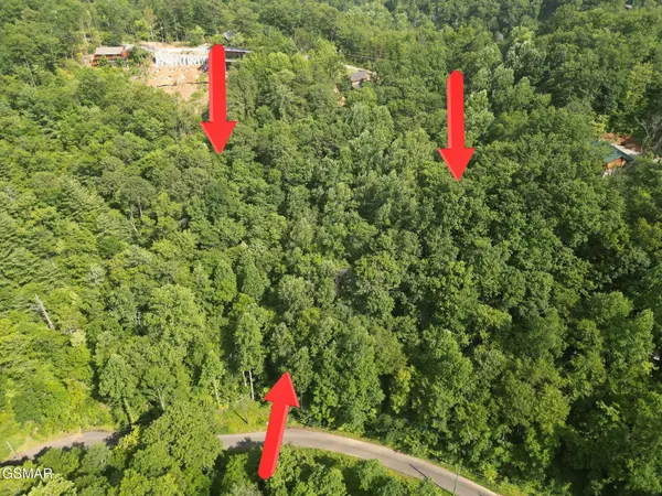 4321 Manis Hollow Road, Gatlinburg, TN 37738