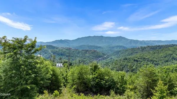 3 Cove Mountain Road, Gatlinburg, TN 37738